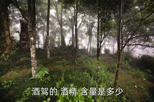 酒駕酒精含量標(biāo)準(zhǔn)