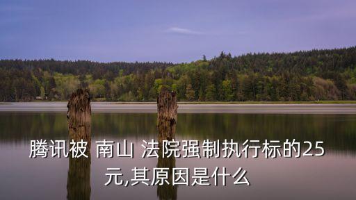 騰訊被 南山 法院強制執(zhí)行標的25元,其原因是什么