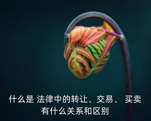 買賣雙方的法律關系,2.簡述買賣雙方的法律關系?