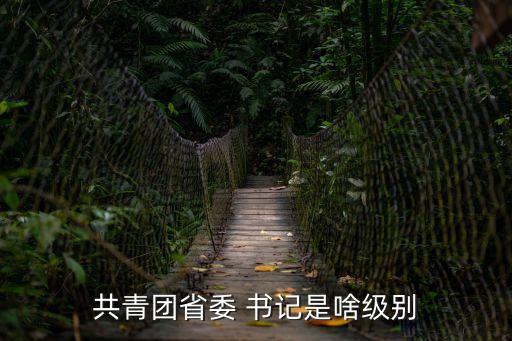 市團委書記,駐馬店市團委書記