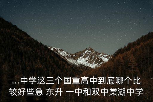 東升一中,雙流區(qū)東升一中