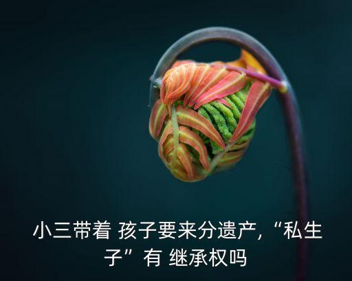 小三的孩子有繼承權(quán)嗎,2023新婚姻法小三的孩子有繼承權(quán)嗎