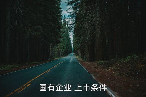 國有企業(yè) 上市條件