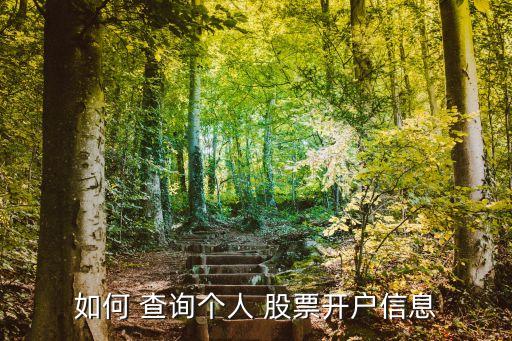 如何 查詢個人 股票開戶信息