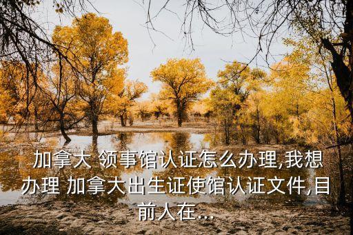  加拿大 領(lǐng)事館認(rèn)證怎么辦理,我想辦理 加拿大出生證使館認(rèn)證文件,目前人在...