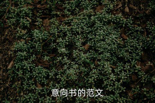 意向書的范文