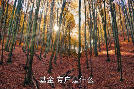 專戶理財(cái)