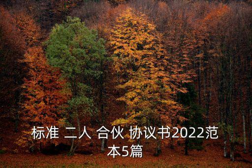 標(biāo)準(zhǔn) 二人 合伙 協(xié)議書(shū)2022范本5篇