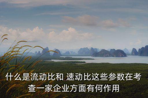 什么是流動比和 速動比這些參數(shù)在考查一家企業(yè)方面有何作用