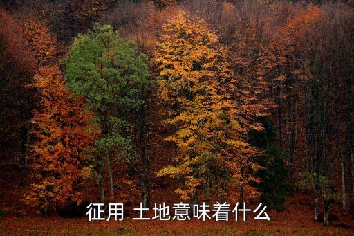  征用 土地意味著什么