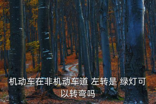 機(jī)動(dòng)車在非機(jī)動(dòng)車道 左轉(zhuǎn)是 綠燈可以轉(zhuǎn)彎嗎