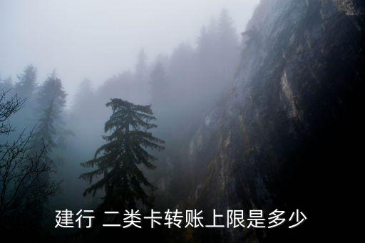 二類卡轉(zhuǎn)入有限額嗎,公司發(fā)工資二類卡轉(zhuǎn)入有限額嗎