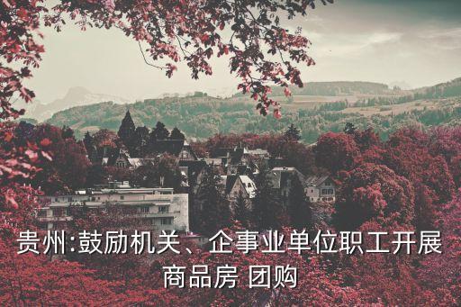 貴州:鼓勵(lì)機(jī)關(guān)、企事業(yè)單位職工開展商品房 團(tuán)購