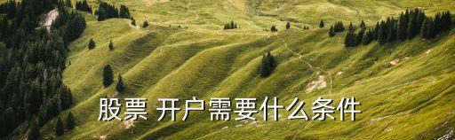  股票 開戶需要什么條件
