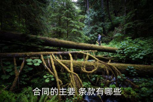  合同的主要 條款有哪些