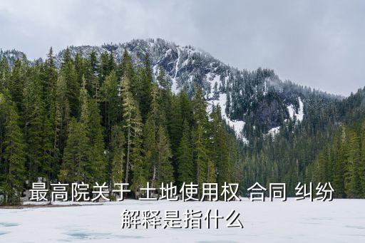 最高院關(guān)于 土地使用權(quán) 合同 糾紛解釋是指什么