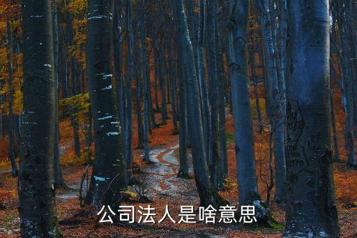 公司法人是啥意思