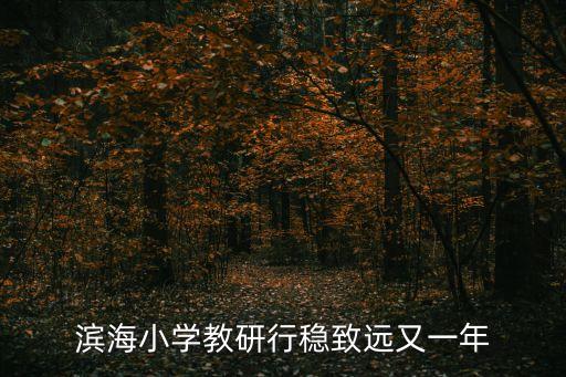 濱海小學教研行穩(wěn)致遠又一年