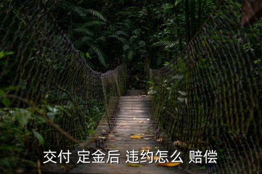交付 定金后 違約怎么 賠償