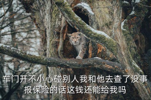 撞車門
