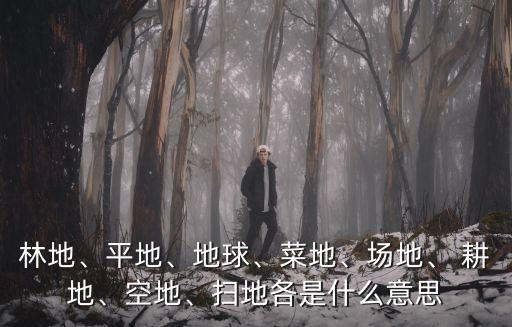 耕地是什么意思,一般耕地是什么意思