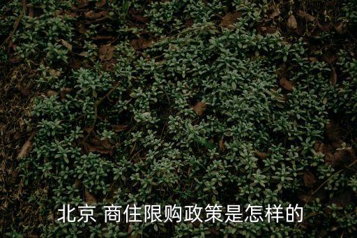 北京商住