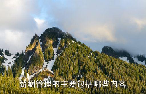 薪資管理制度,薪酬管理制度包括哪些內(nèi)容