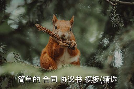  簡單的 合同 協(xié)議書 模板(精選