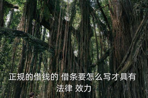 正規(guī)的借錢(qián)的 借條要怎么寫(xiě)才具有 法律 效力
