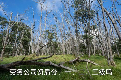 施工勞務(wù)不分等級,不分專業(yè)施工勞務(wù)不分等級