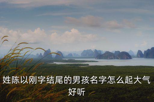 姓陳以剛字結(jié)尾的男孩名字怎么起大氣好聽(tīng)