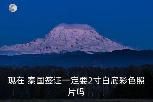 現(xiàn)在 泰國簽證一定要2寸白底彩色照片嗎