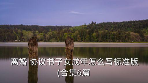 離婚房子歸孩子協(xié)議書怎么寫,離婚協(xié)議書把房子給孩子有法律效力嗎
