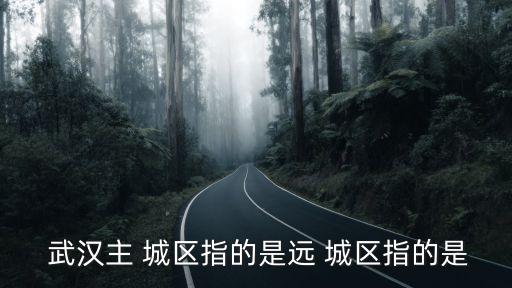 武漢遠(yuǎn)城區(qū)