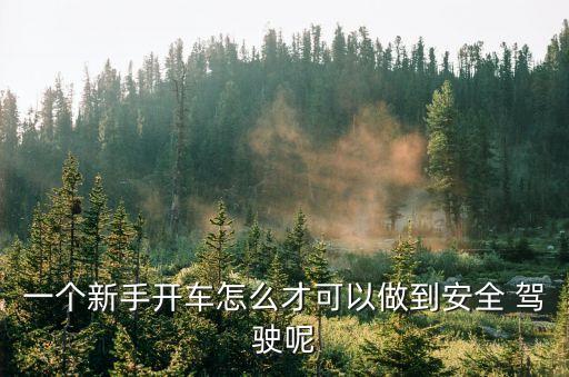 安全駕駛
