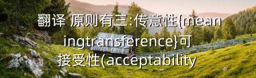  翻譯 原則有三:傳意性{meaningtransference}可接受性(acceptability