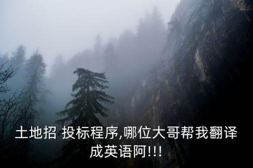 土地招 投標(biāo)程序,哪位大哥幫我翻譯成英語阿!!!