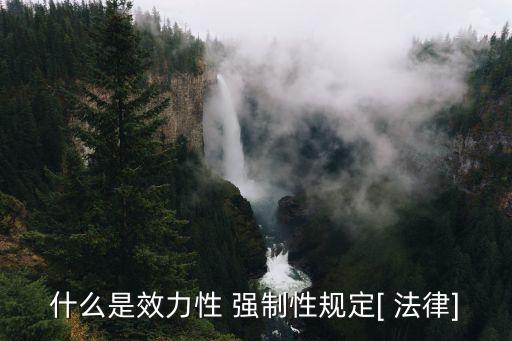 哪些屬于法律強(qiáng)制性規(guī)定范圍,違反法律強(qiáng)制性規(guī)定的合同無效