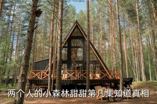 兩個人的小森林甜甜第幾集知道真相
