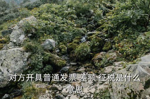 對方開具普通發(fā)票 差額 征稅是什么意思