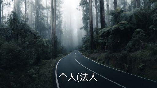 個(gè)人(法人