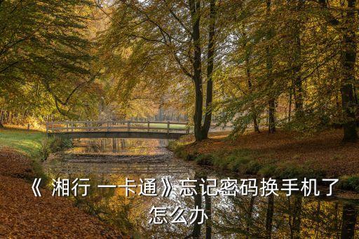 《 湘行 一卡通》忘記密碼換手機了怎么辦