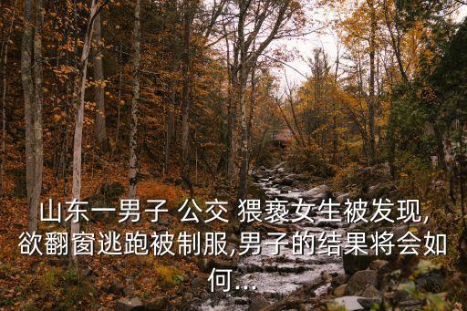 山東一男子 公交 猥褻女生被發(fā)現(xiàn),欲翻窗逃跑被制服,男子的結(jié)果將會(huì)如何...