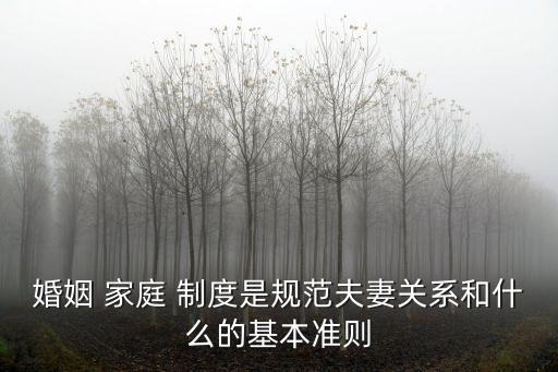 婚姻 家庭 制度是規(guī)范夫妻關(guān)系和什么的基本準(zhǔn)則