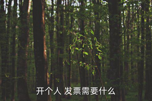 個(gè)人發(fā)票怎么開
