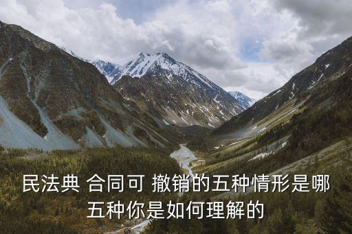 民法典 合同可 撤銷的五種情形是哪五種你是如何理解的