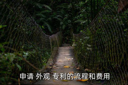  申請(qǐng) 外觀 專利的流程和費(fèi)用
