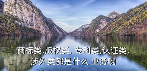 商標(biāo)類,版權(quán)類, 專利類,認證類,涉外類都是什么 業(yè)務(wù)啊