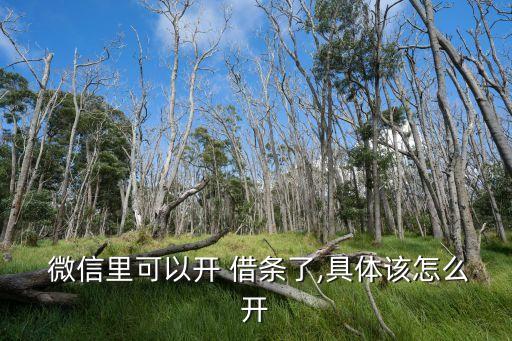  微信里可以開 借條了,具體該怎么開