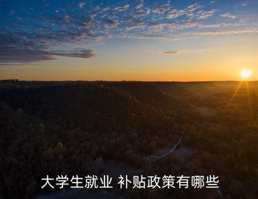 廣西大學(xué)生求職創(chuàng)業(yè)補(bǔ)貼有多少錢,大學(xué)生求職創(chuàng)業(yè)補(bǔ)貼申請(qǐng)條件
